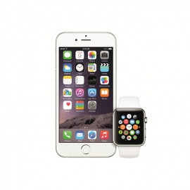 iPhone 6s Plus Black Gray 128Gb