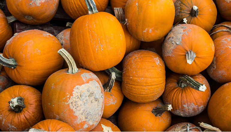 Commodo laoreet semper tincidun	sit vel illum dolore eu feugiat