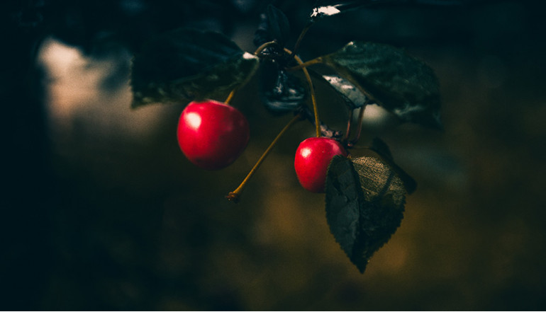 Duis autem vel eum iriure dolor in hendrit in vulputate velit esse 