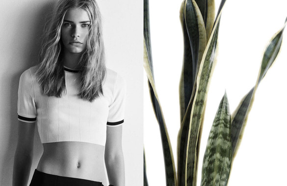 Duis autem vel eum irure sed diam nonumy augue duis dolore te