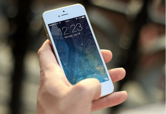 Commodo laoreet semper