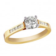  Quis alcatra officia