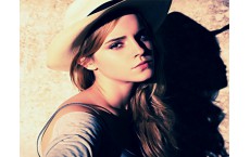 Aestibulum ipsum a ornare car